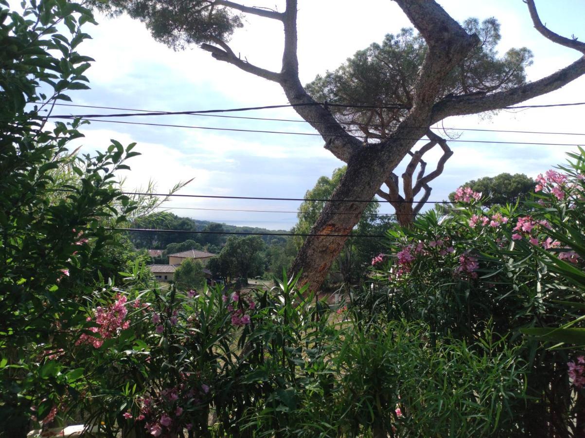 Studio Villa Le M Six-Fours-les-Plages Exterior foto
